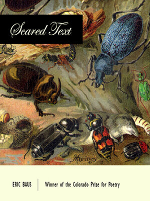 cover image of Scared Text